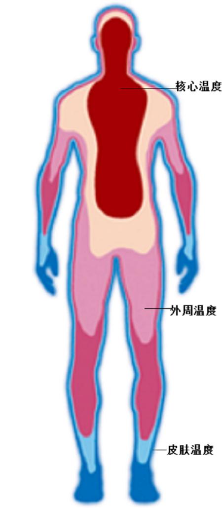 喝酒体温升高持续时间,喝酒后的体温和正常体温差多少呢
