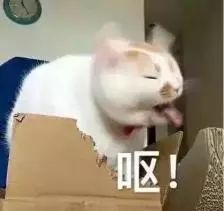 名门泽佳护肤品靠谱吗,名门泽佳315保湿吗