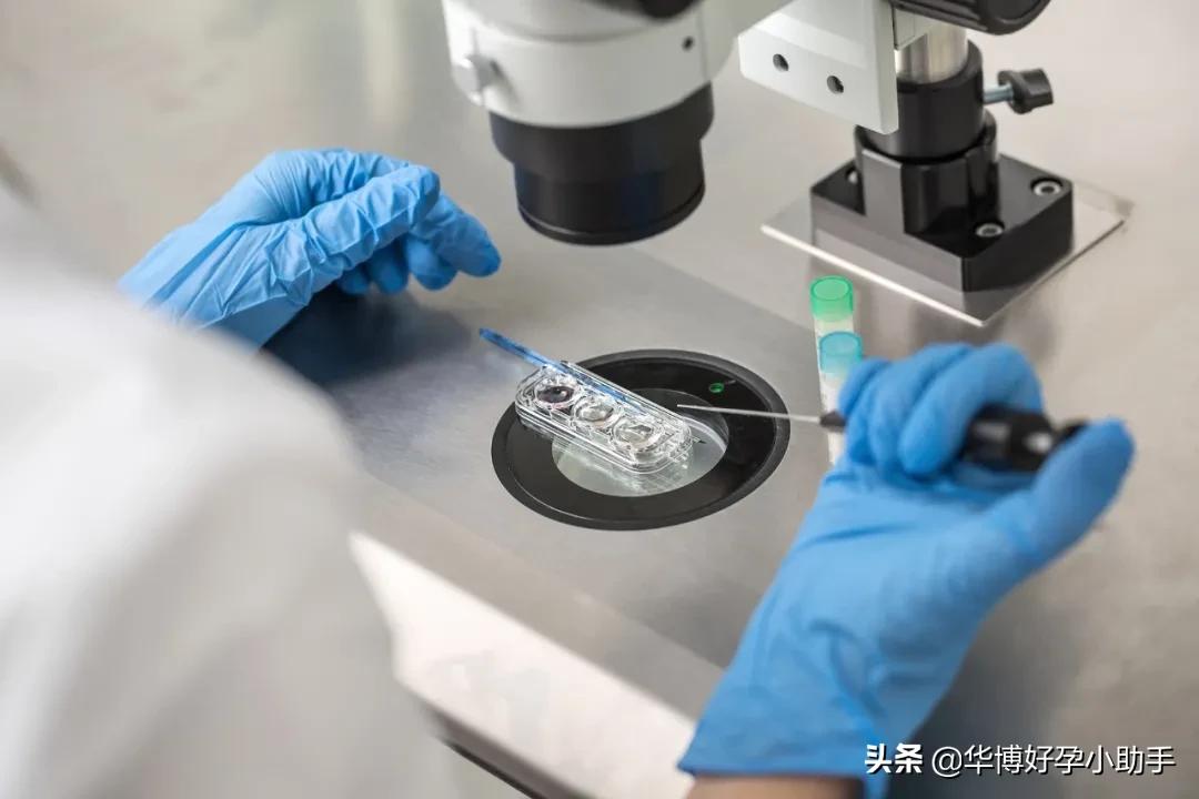 夫妻*生活性**过频反而容易不孕？是真的吗