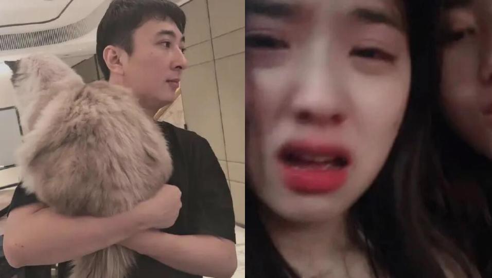王思聪与女网红互怼始末,王思聪手撕女网红