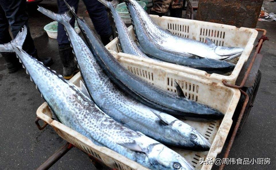 鲅鱼炖出来鱼腥味很重怎么处理,鲅鱼都有哪些常见的做法呢