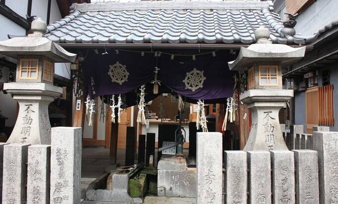 约上闺蜜一起去看看,大阪到奈良小鹿公园