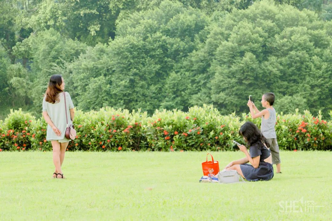 深圳购物商场排名,深圳最新商场开业