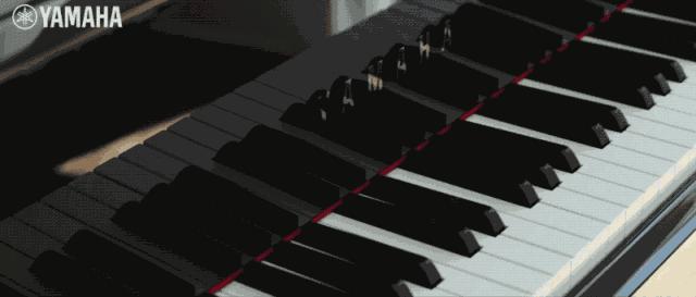 杭州雅马哈乐曲中心成立时间,上海雅马哈乐曲中心