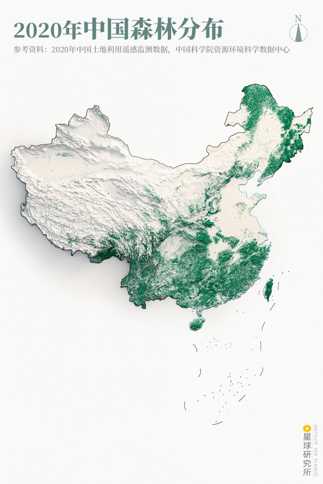 中国植树造林面积,中国植树造林成果国外有什么看法