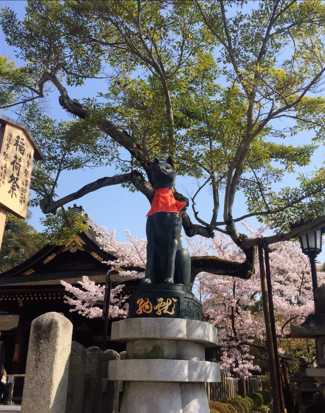 妯辫姳涔嬫梾澶ч槳,鏃ユ湰妯辫姳涔嬫梾