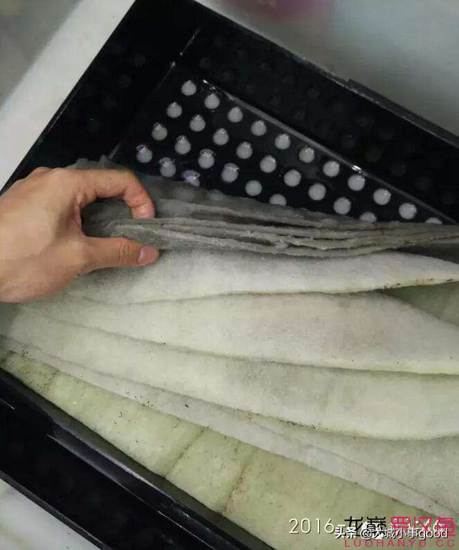 过滤棉讲解,物理过滤滤棉选择