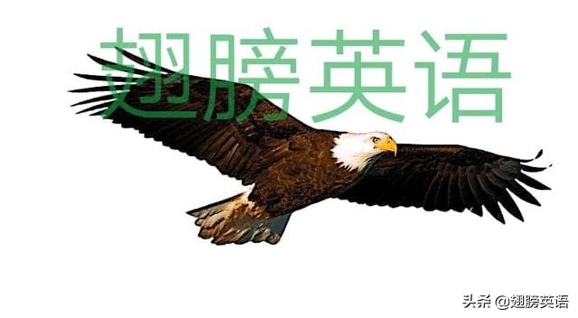 whatlike和howlike的区别和用法,whatabout和howabout意思