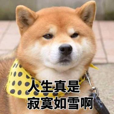 心酸创业路线图片,心酸创业史