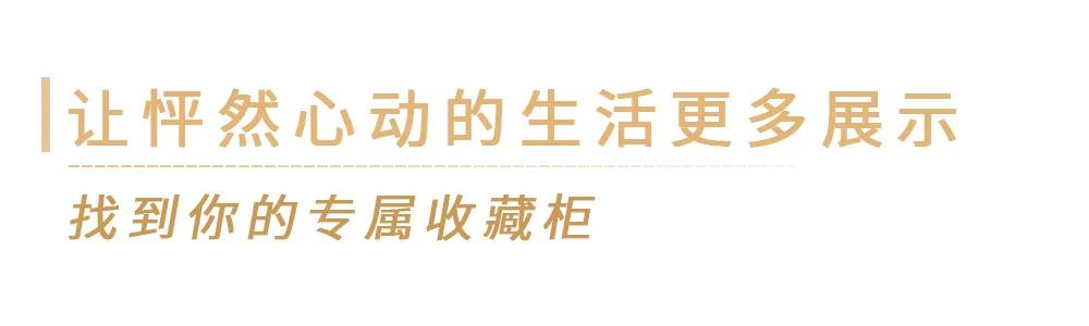 收藏柜,收藏博物馆陈列柜