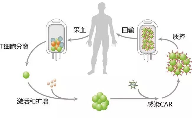 美国卡特总统治疗癌症,美国总统卡特接受免疫治疗