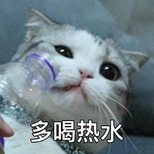 慢性胃炎的相关知识课件,治慢性胃炎的药