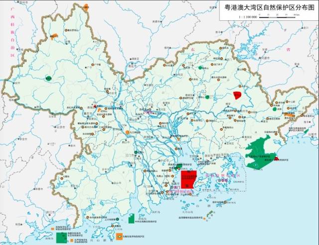 粤港澳大湾区发展经济的优势条件,粤港澳大湾区发展看广州