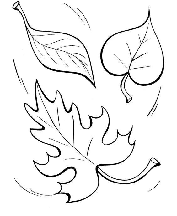 白描各种花朵,花朵白描图片大全大图