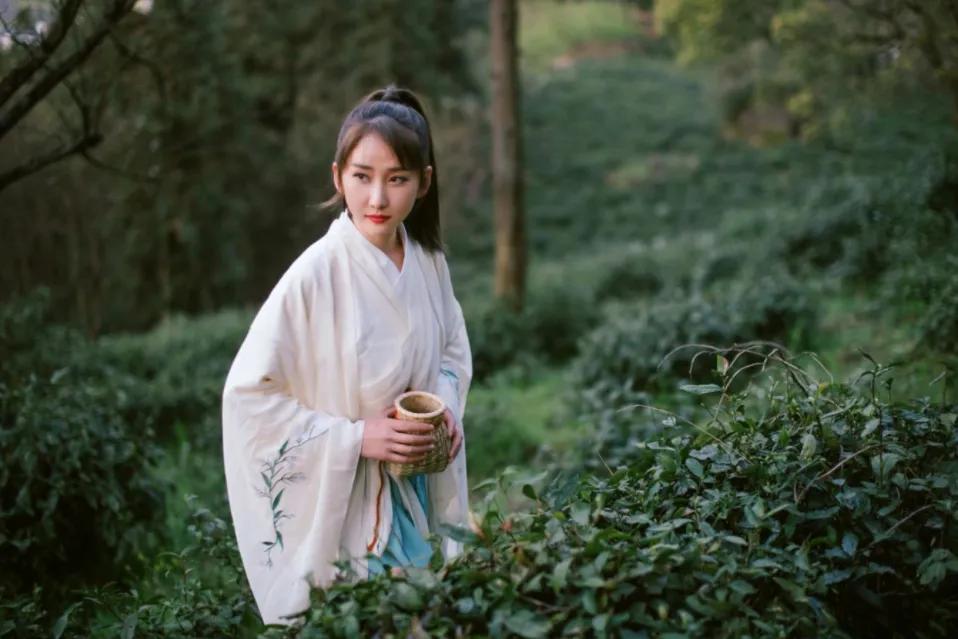 五一山顶云海露营攻略,云海悬崖旅游攻略