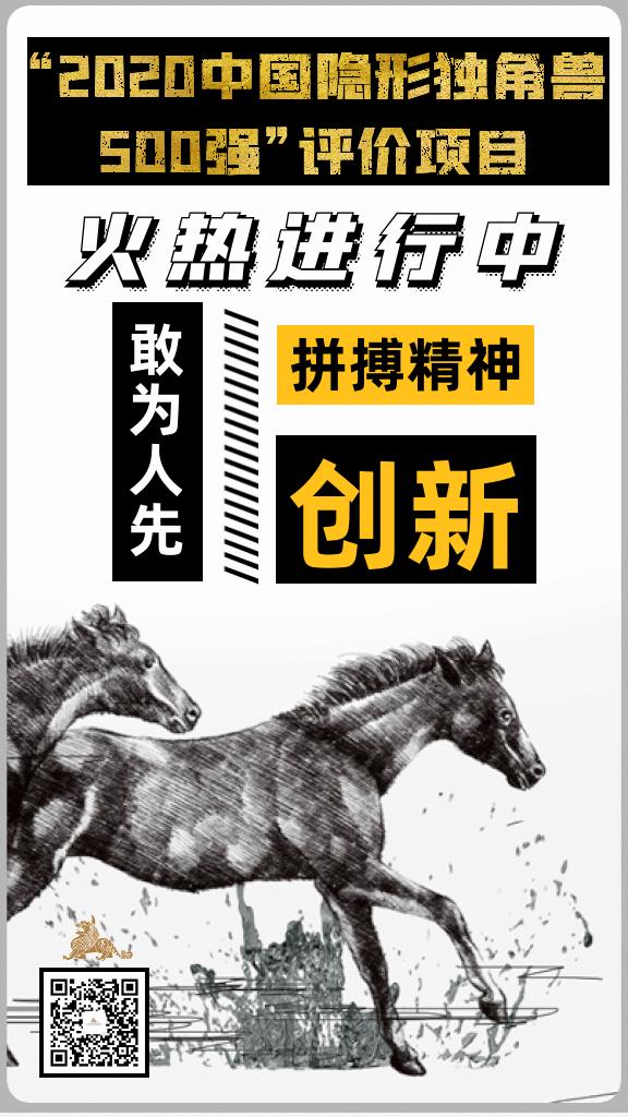隐形独角兽500强榜单,隐形独角兽