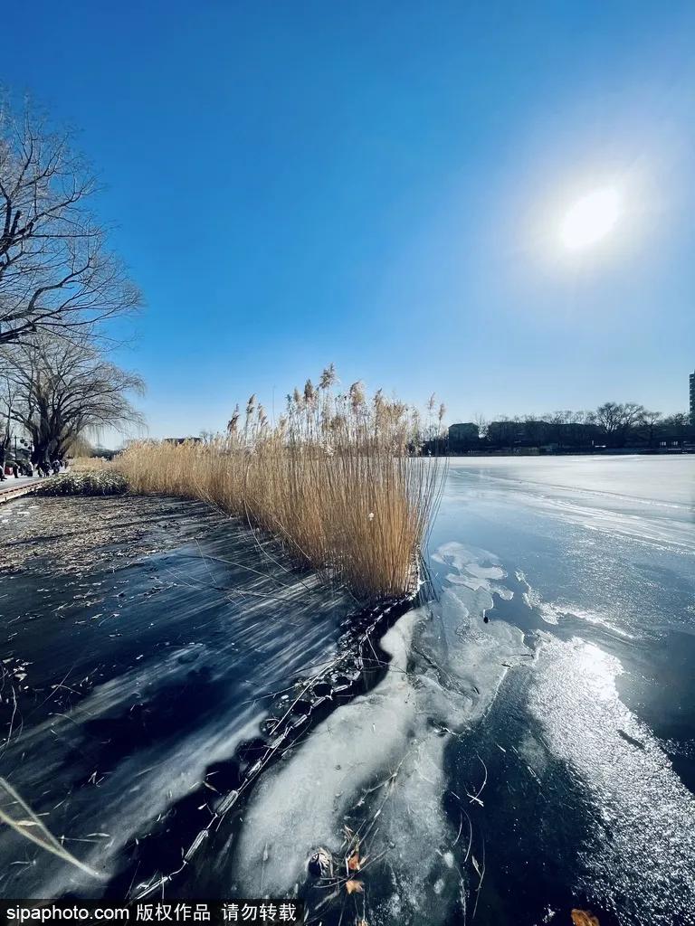北京春节免费景点一览表,北京免费公园景点大全