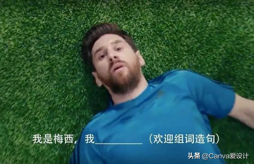 最新野生文案大全,看野生动物发的文案