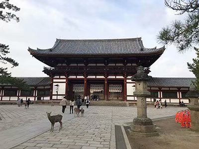 2020鏃ユ湰澶ч槳,澶ч槳浜兘濂堣壇鍏ぉ瀹夋帓