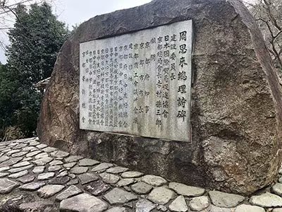 2020鏃ユ湰澶ч槳,澶ч槳浜兘濂堣壇鍏ぉ瀹夋帓