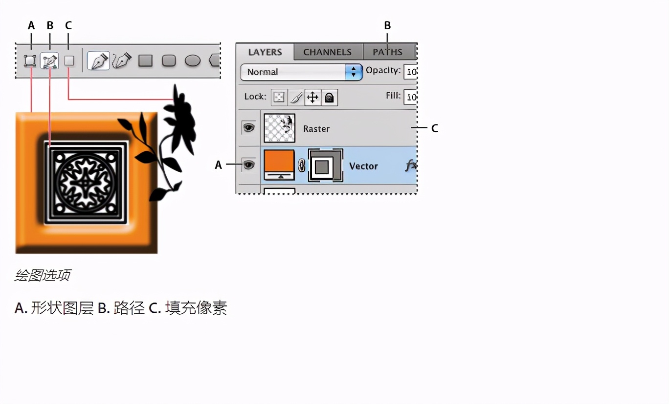 adobephotoshop绘图教程,adobephotoshop证书有用吗