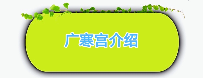 广寒宫多肉的养殖方法和注意事项,多肉广寒宫老桩为什么容易坏掉