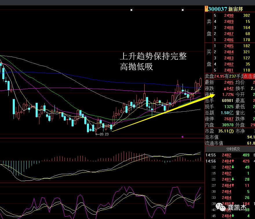 炒股入门知识证券,最基本的炒股知识