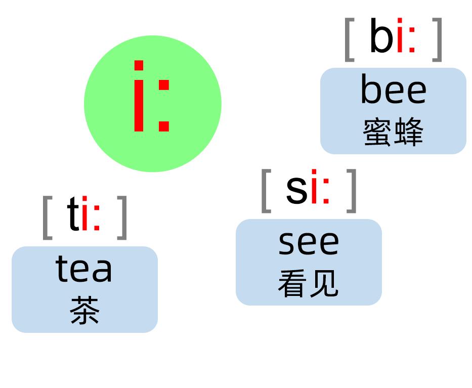 英语音标零基础速成身体记忆,英语音标领会卡片