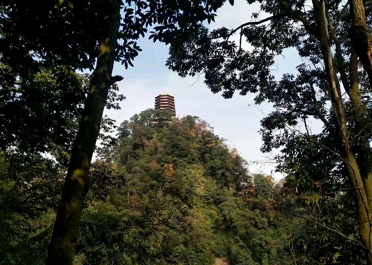 坐上公交去旅行！跟着这条101路线，带你玩遍大半个都江堰～一站一景，吃喝玩乐一网打尽！