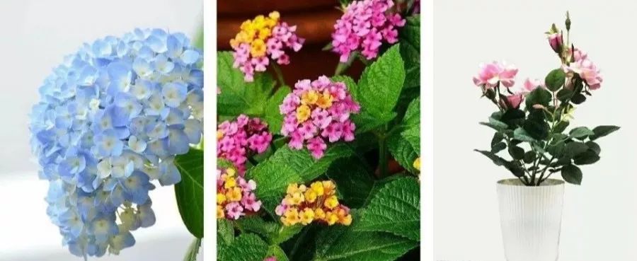 3岁孩子误食了药品属于意外吗,小孩误食绿植肥料怎么办