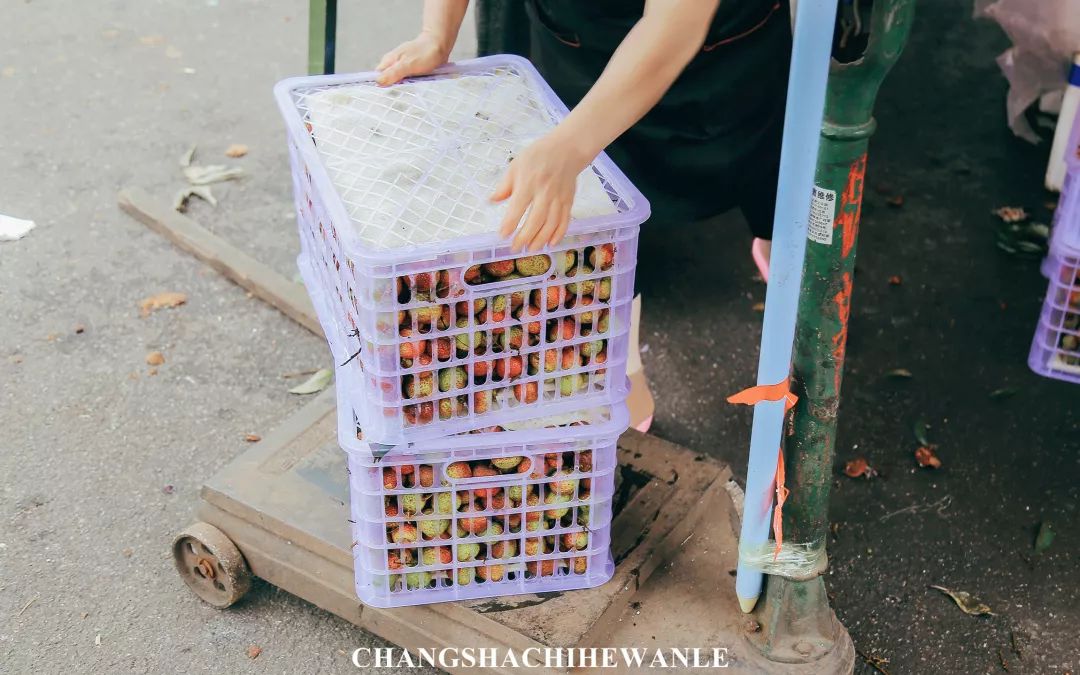 长沙红星水果批发市场水果价格,长沙红星水果批发市场代卖荔枝