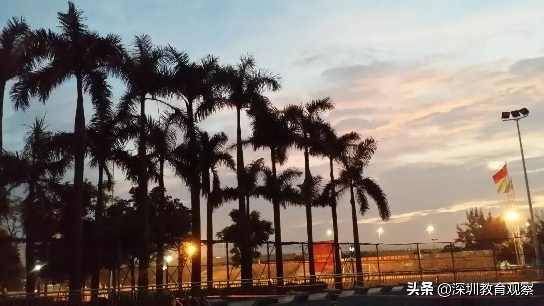 走名校vol.14|西乡中学：50年，我们专注做一件事