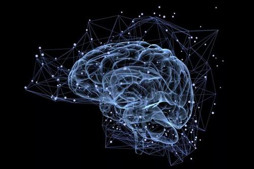 世界科学家想让你知道的大脑功能,训练大脑智能的4种简单方法