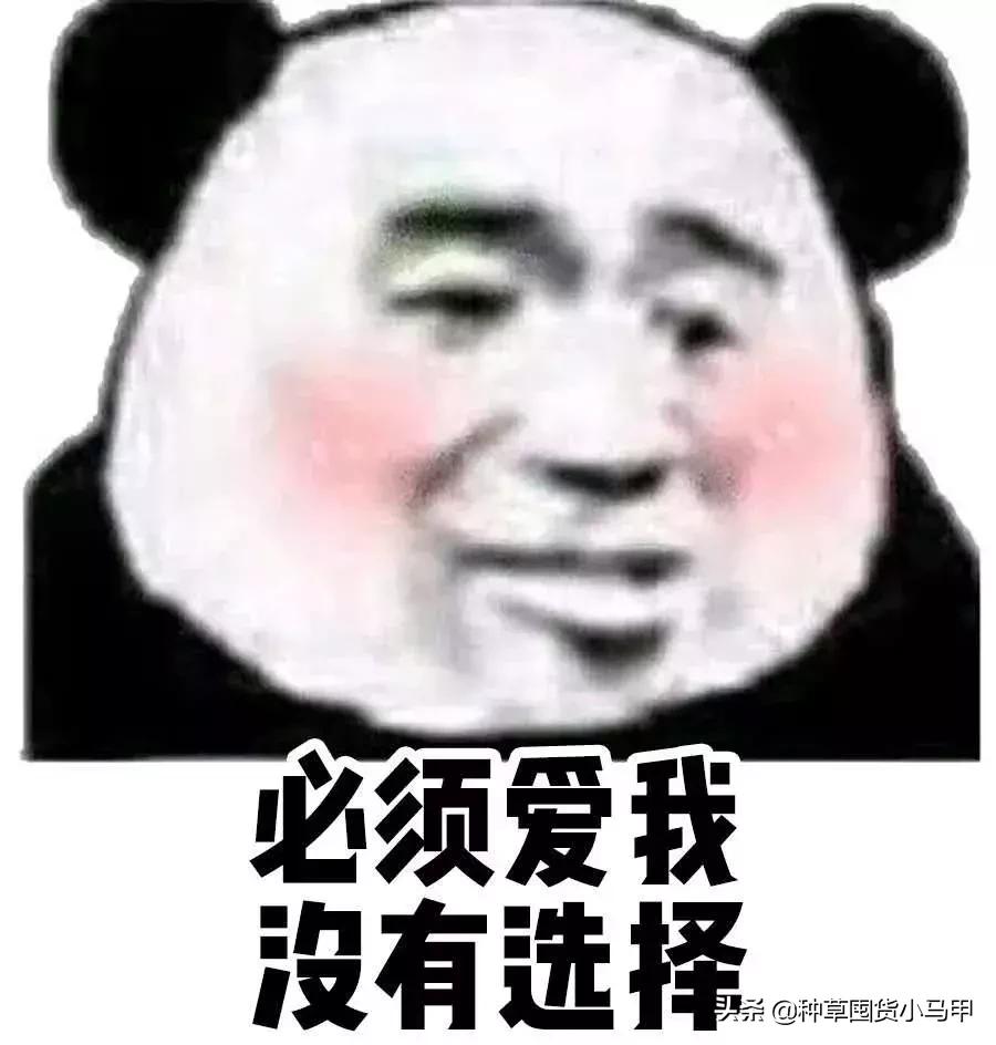 脸大中年女人方脸发型图片,脸大的超短发女生适合什么发型