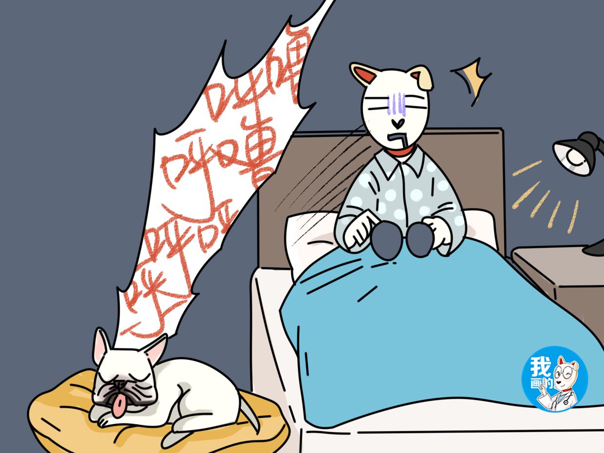 法斗不好饲养,法斗生病吃什么药