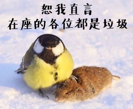游戏为什么要不肝不氪,不肝不氪适合长期玩的游戏