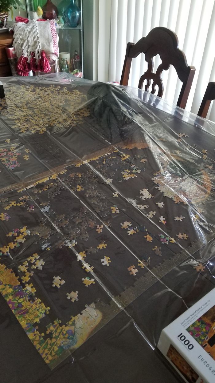 听我一句劝，养猫后，就别再玩拼图了！我怕你心脏受不了