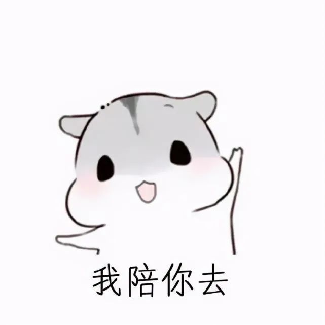 高中时期的快乐时光,高中时最快乐的时光