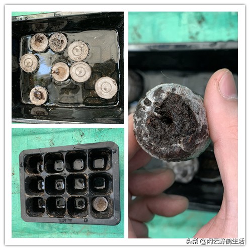 寓教于乐中成长与领会,寓教于乐中得到收获