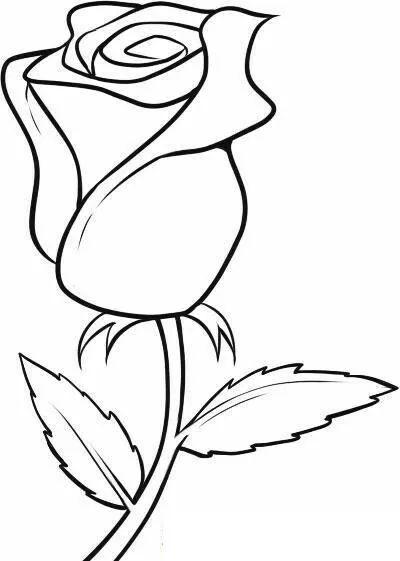 白描各种花朵,花朵白描图片大全大图
