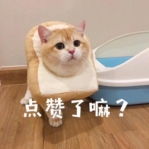回家的路上看到这么多钱，背包都装不下啊，现在该怎么办