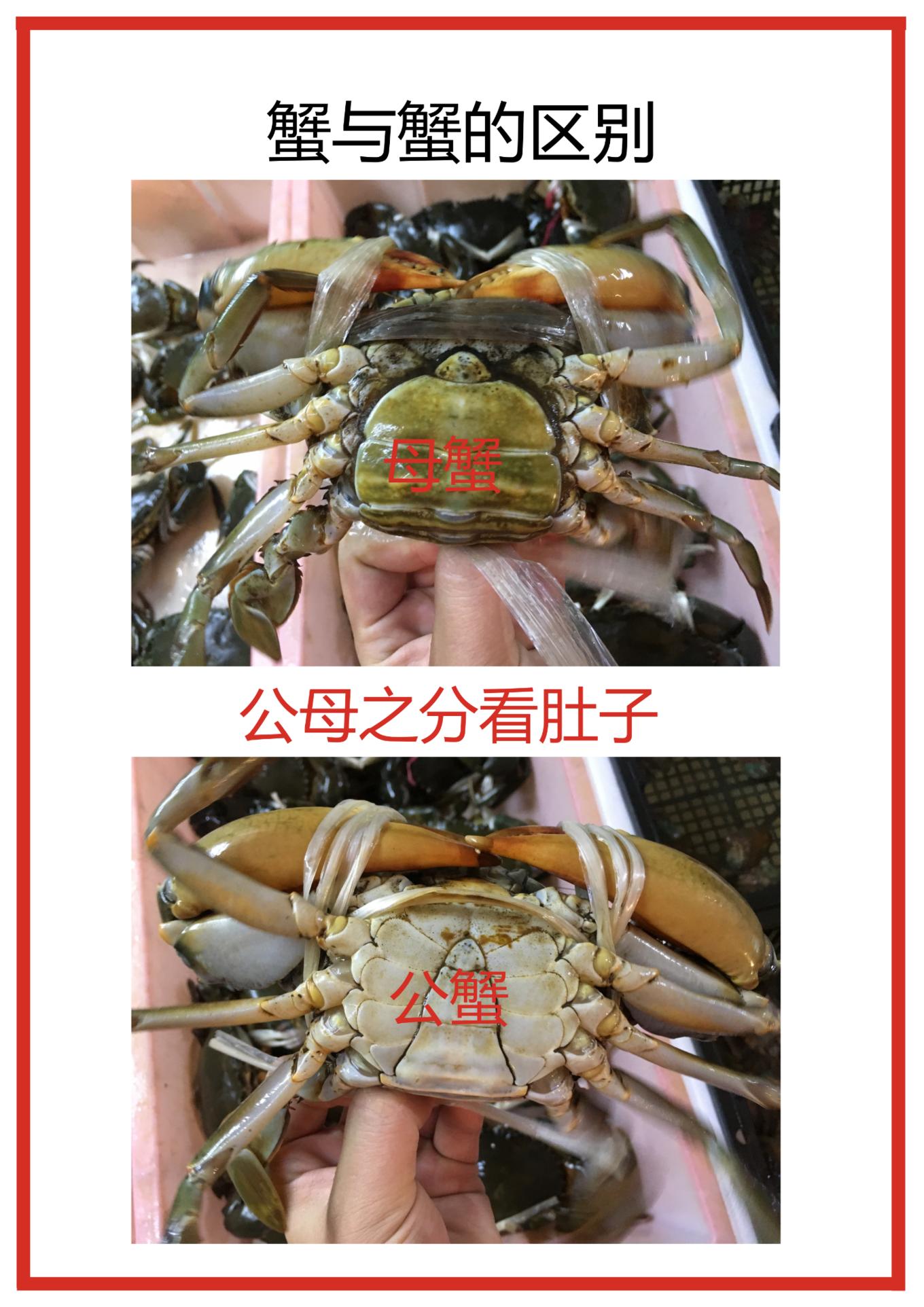 三亚旅游吃海鲜防宰攻略,三亚蜈支洲岛吃海鲜攻略