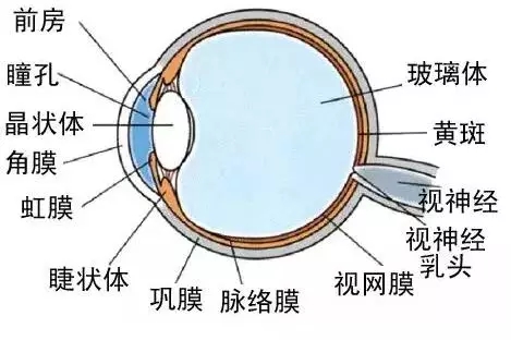 宝宝总爱玩手机，小小年纪散光+远视？家长必须要引起重视了