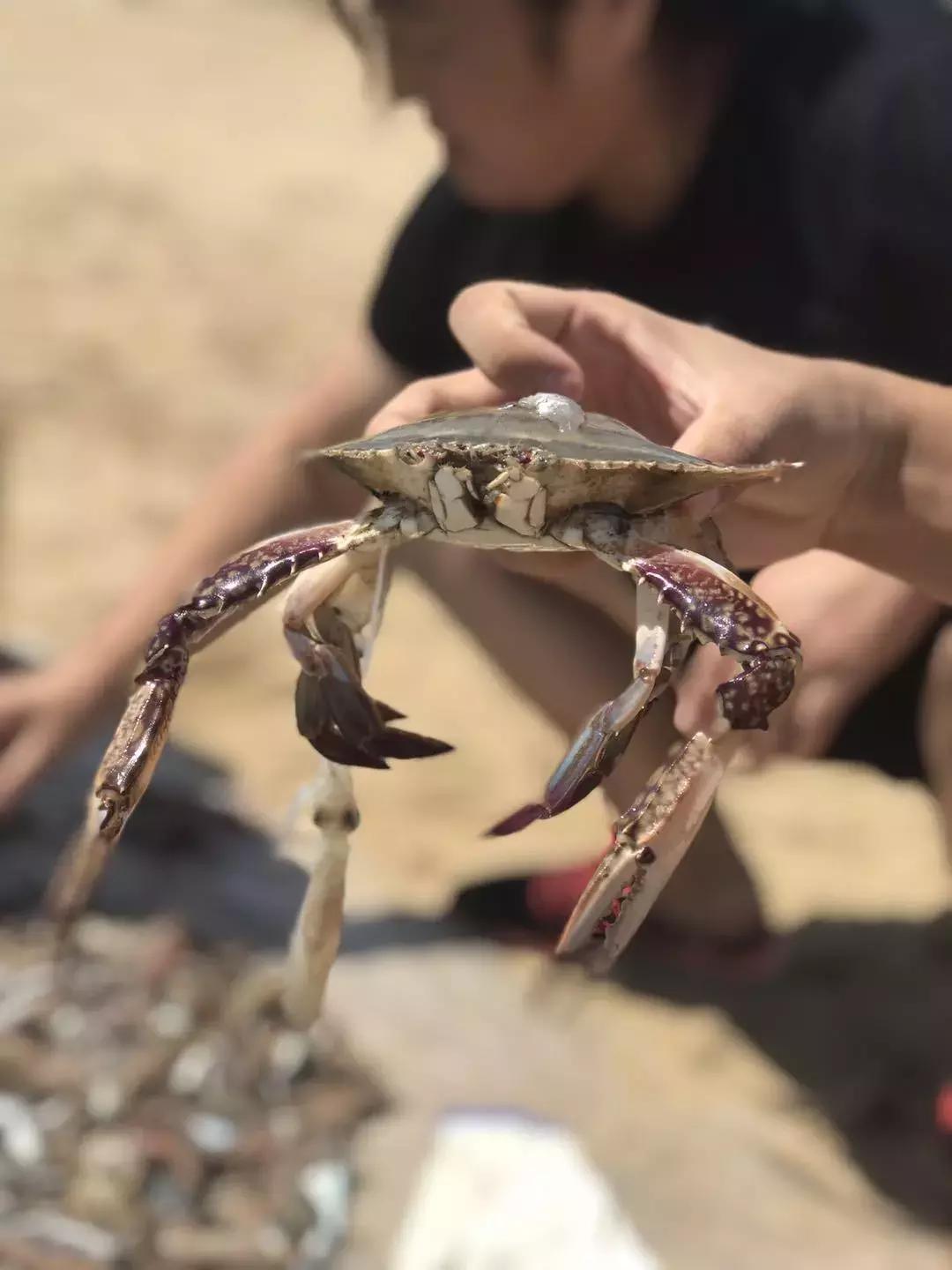 「游记」拒绝下海煮饺子，个人承包个海岸线，简直不要太爽