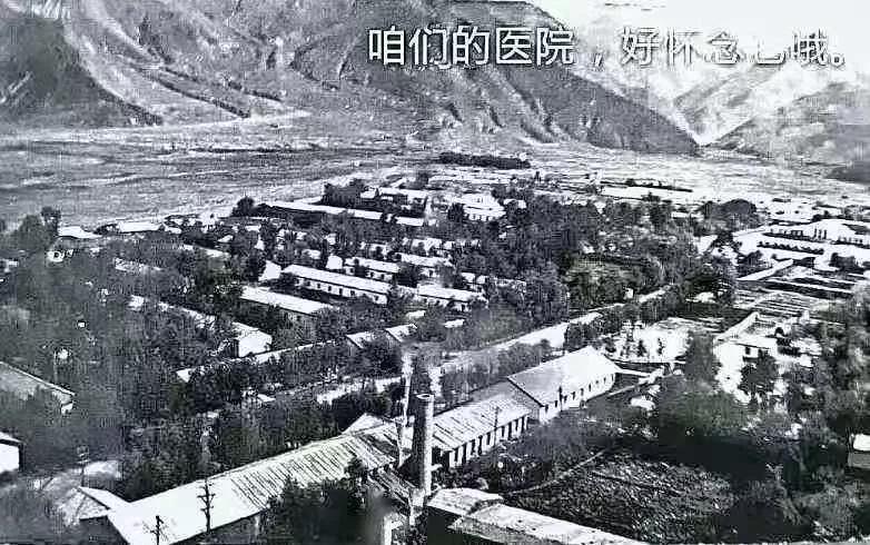 在*藏西**，我们的第三*战野**医院，我们的芳华……