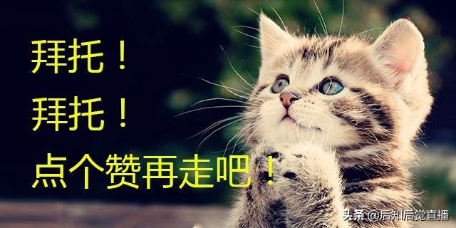 车贷不还把车卖了会有什么后果,车贷还不上车子又抵押卖了怎么办