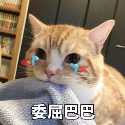 云集品特大网络传销犯罪团伙,特大传销案发展下线逾十万人