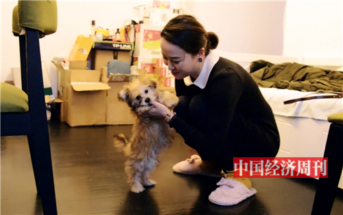 克隆狗多少钱一只啊,克隆犬值得买吗