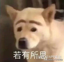 月薪五千的人就不能买神仙水吗,月薪5000真的不适合买车