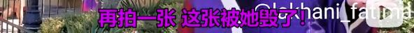 她出道不到30天就成顶流！帮迪士尼狠赚一大笔！但画风渐渐跑偏？